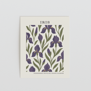 Tennessee State Flower Art Print – Iris - The FlatFile Society